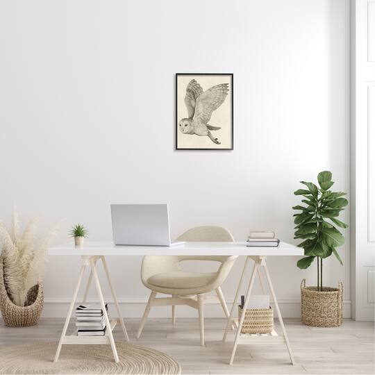 Stupell Industries Flying Barn Owl Wings Detailed Drawing Framed Giclee Art